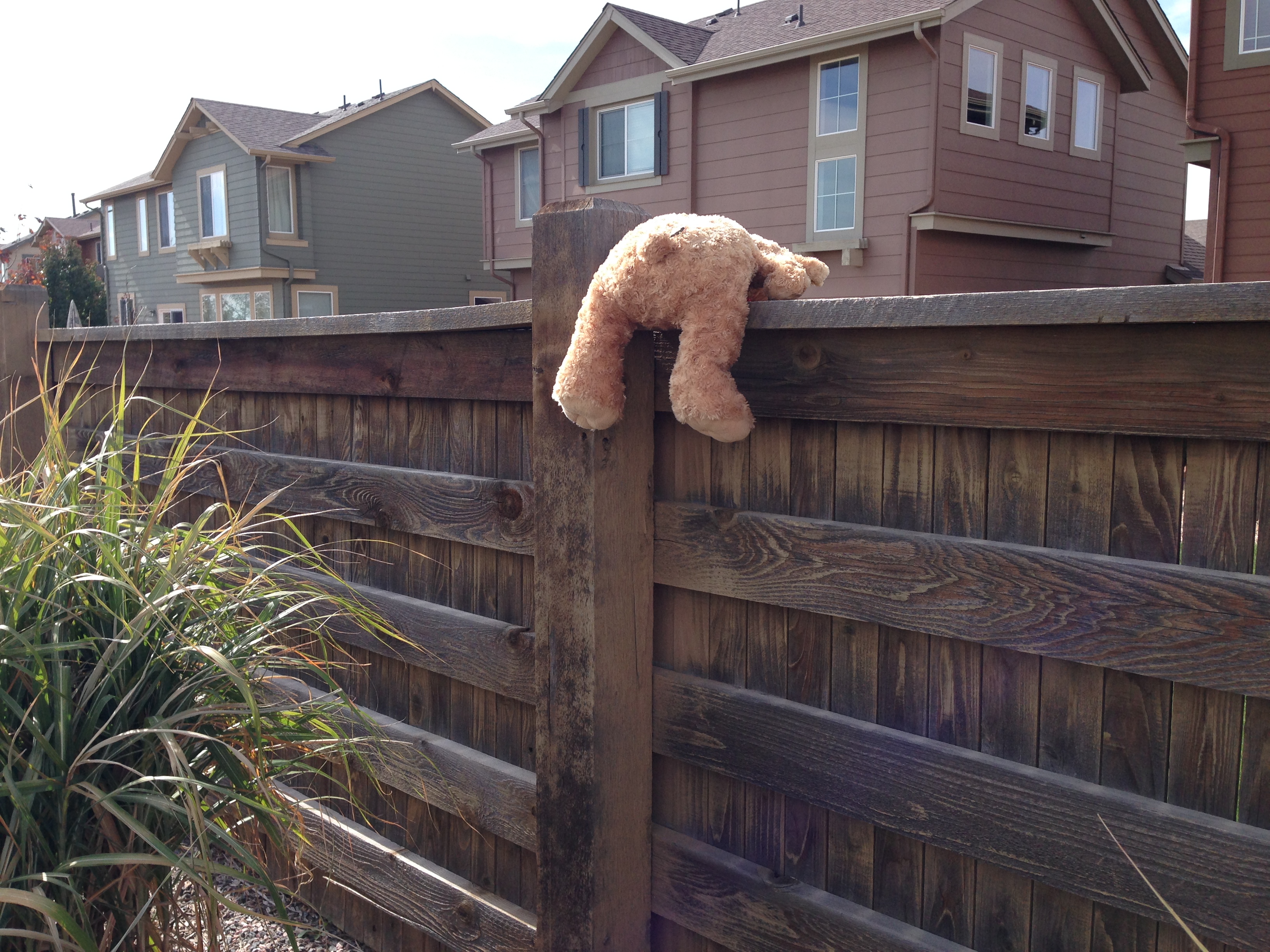 Sitting On The Fence Hurts Your Heart Kathleen Hanagan